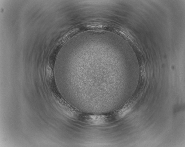 X0000059090371200510172101