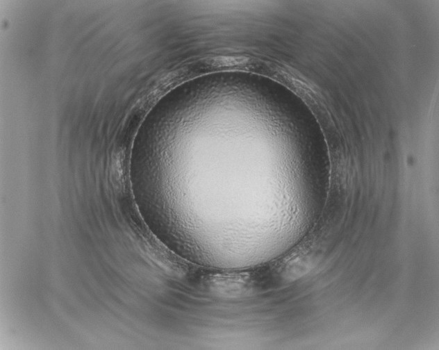 X0000059090373200510172101