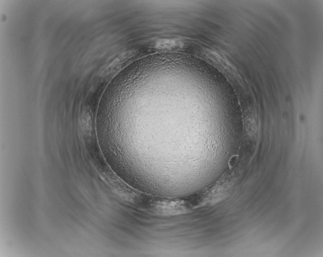 X0000059090375200510172101