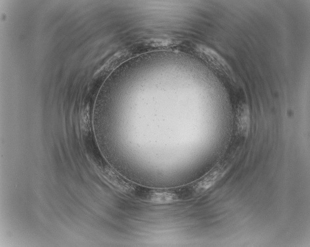 X0000059090376200510172101