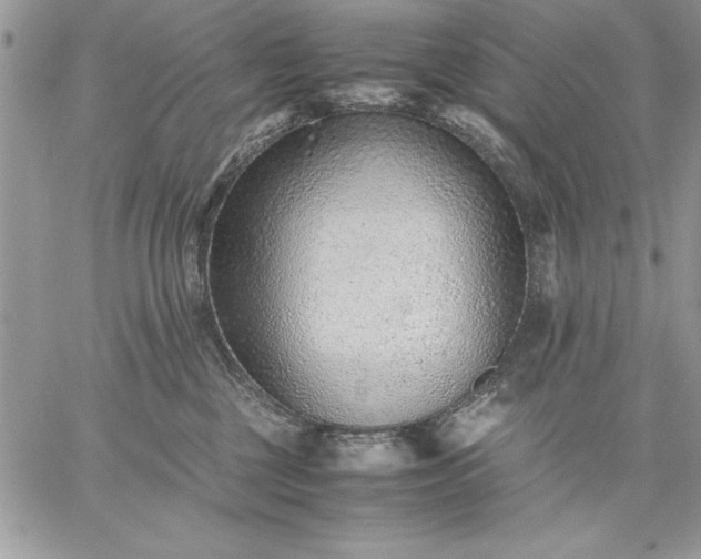 X0000059090377200510172101