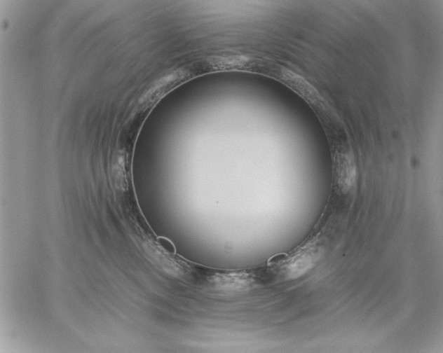 X0000059090378200510172101