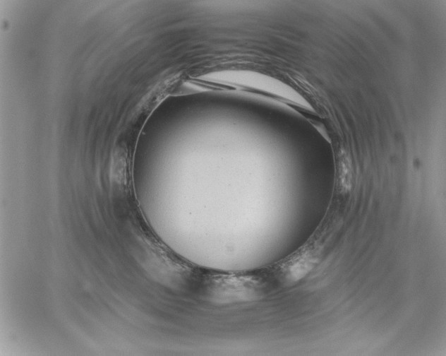 X0000059090379200510172101