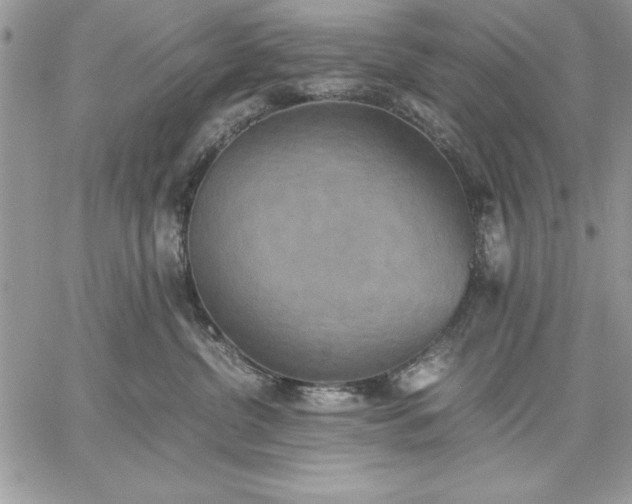 X0000059090380200510172101