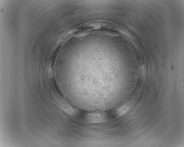 X0000059090381200510172101