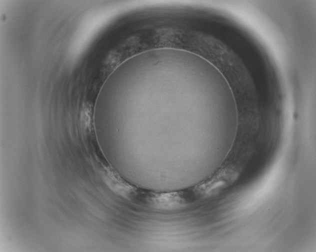 X0000059090382200510172101