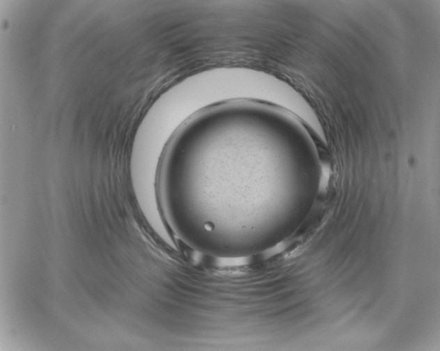 X0000059090383200510172101