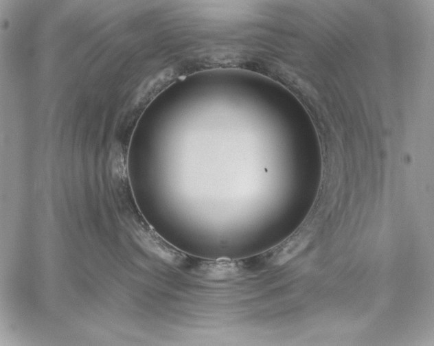 X0000059090384200510172101