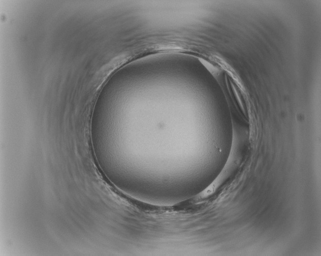 X0000059090385200510172100