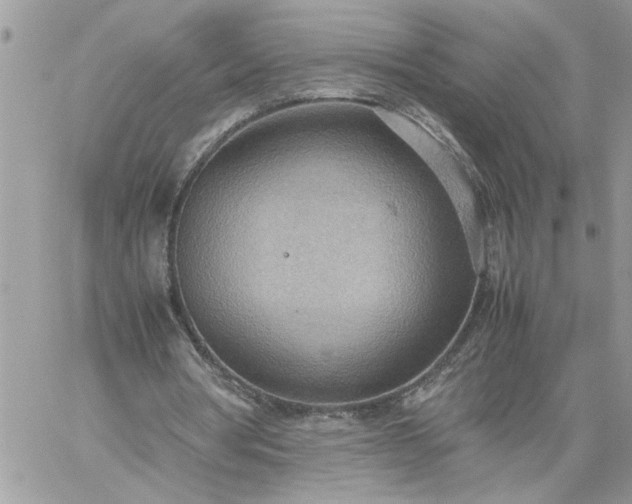 X0000059090386200510172100