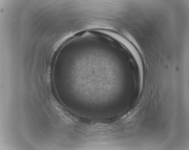 X0000059090387200510172100