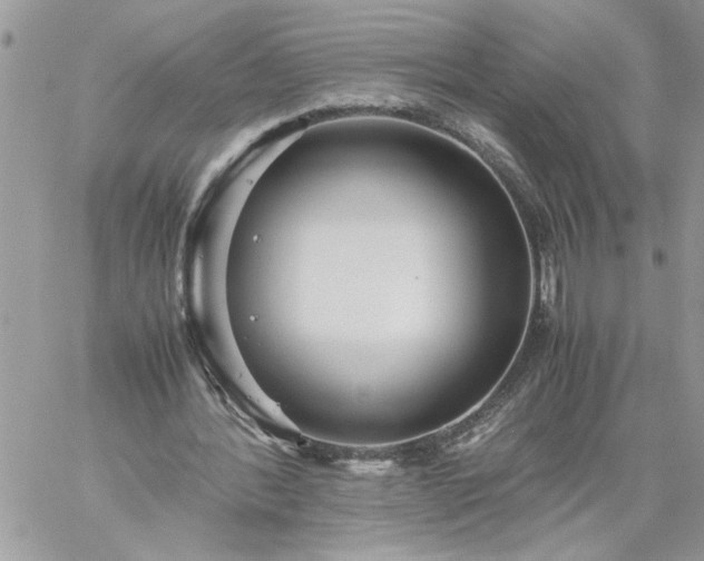 X0000059090388200510172100