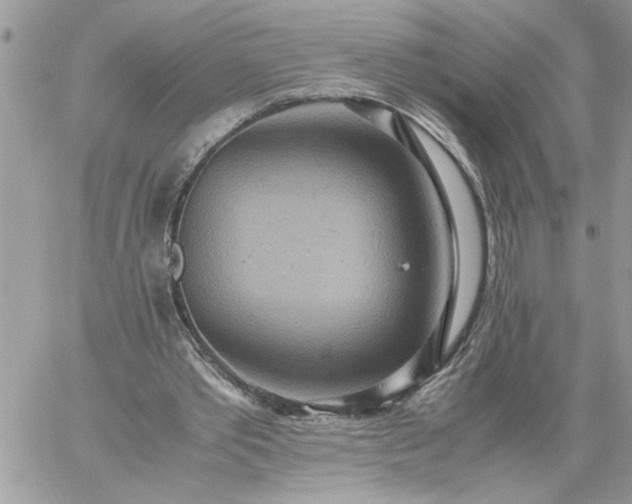 X0000059090389200510172100