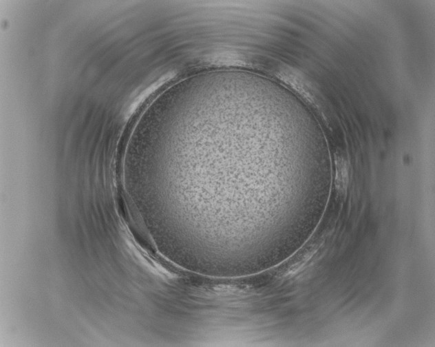 X0000059090390200510172100