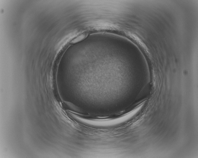 X0000059090391200510172100