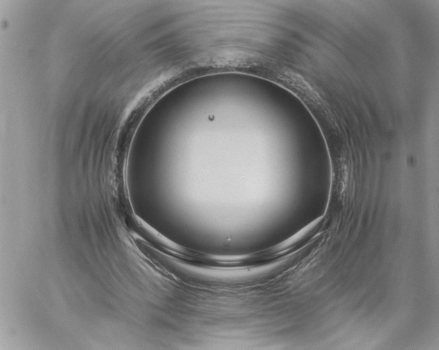 X0000059090392200510172100