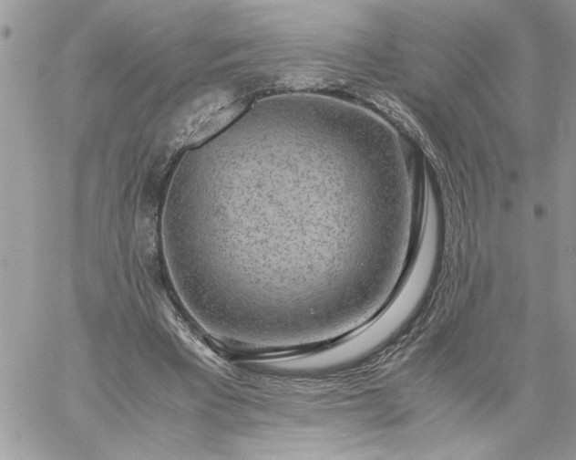 X0000059090393200510172100