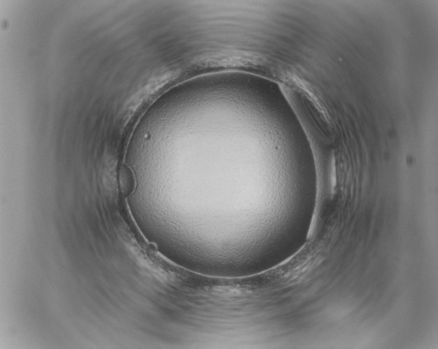 X0000059090394200510172100