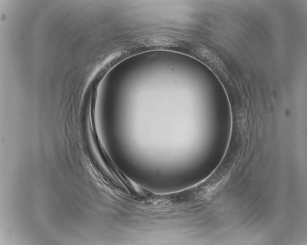 X0000059090395200510172100