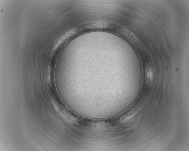 X0000059090396200510172100