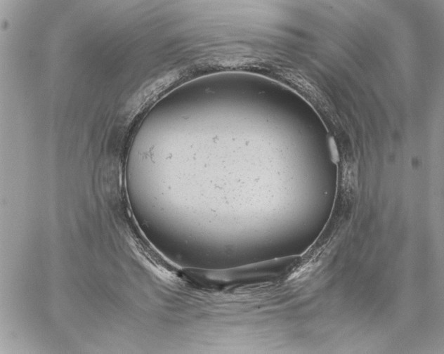 X0000059090397200510172100