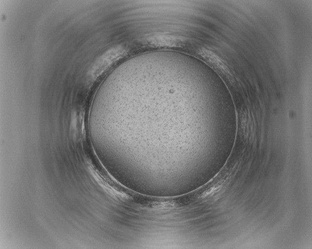 X0000059090398200510172100