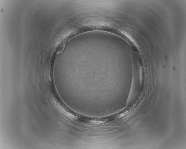 X0000059090399200510172100