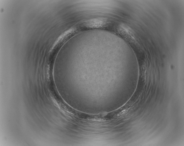 X0000059090400200510172100