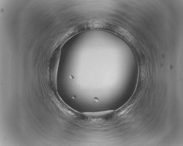 X0000059090401200510172100