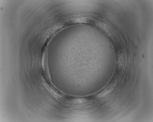 X0000059090402200510172100