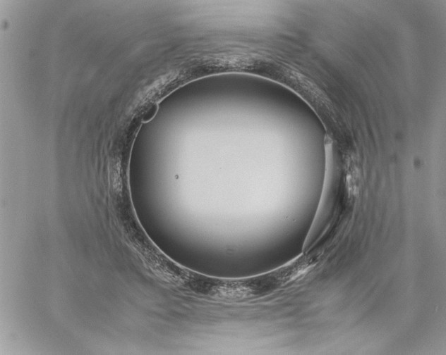 X0000059090403200510172100