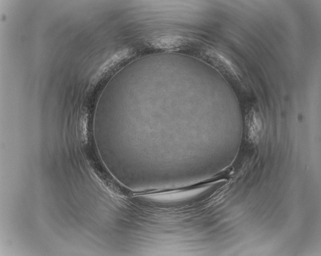 X0000059090404200510172100