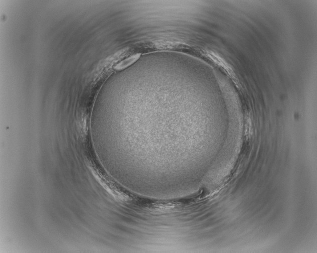 X0000059090405200510172100