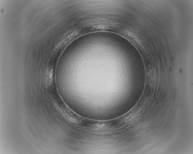 X0000059090406200510172100