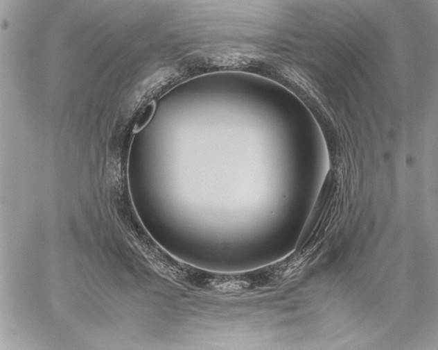 X0000059090407200510172100