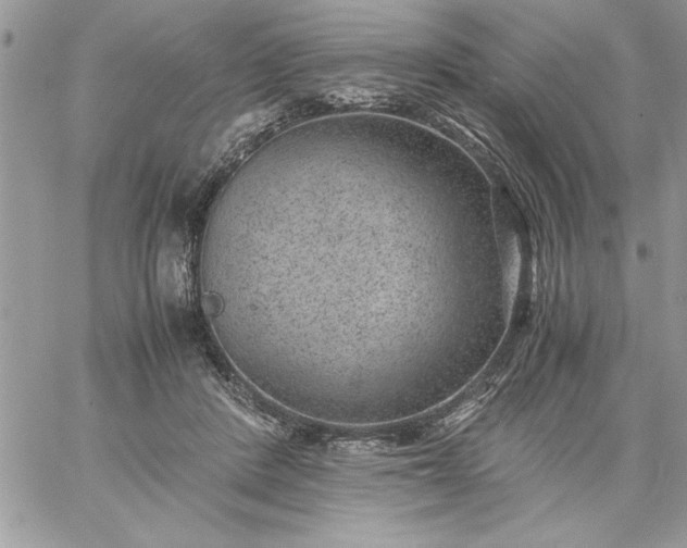 X0000059090408200510172100