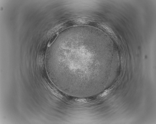 X0000059090409200510172100