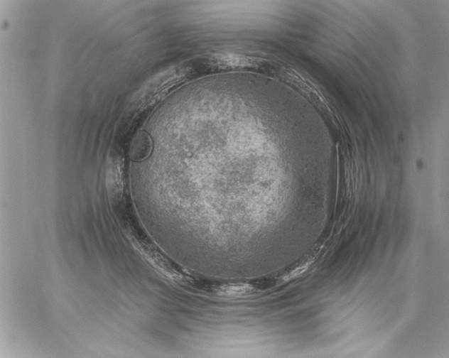 X0000059090410200510172100