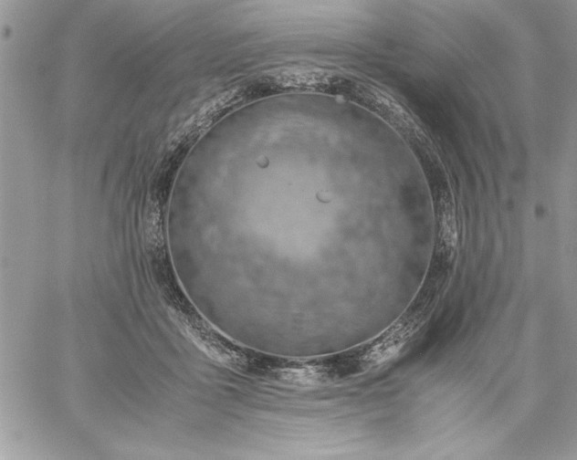 X0000059090411200510172100