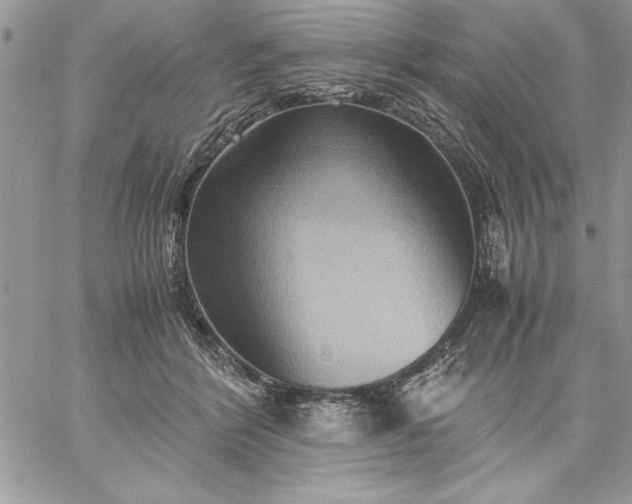 X0000059090412200510172100