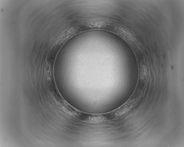 X0000059090414200510172100