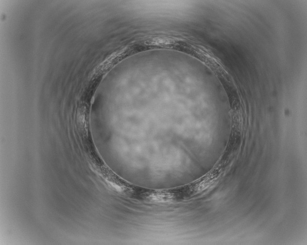 X0000059090415200510172059