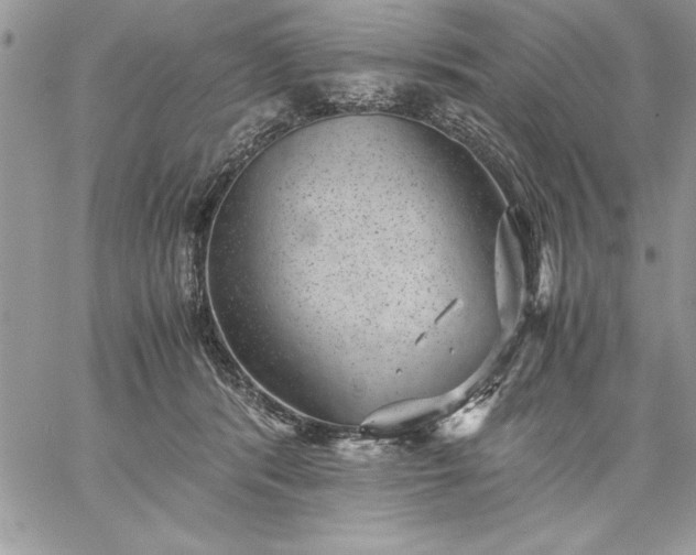 X0000059090416200510172059