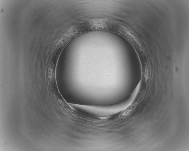 X0000059090417200510172059