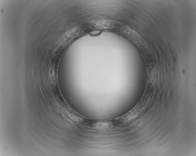 X0000059090418200510172059