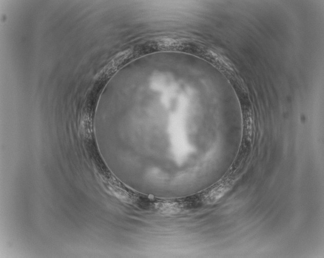 X0000059090419200510172059