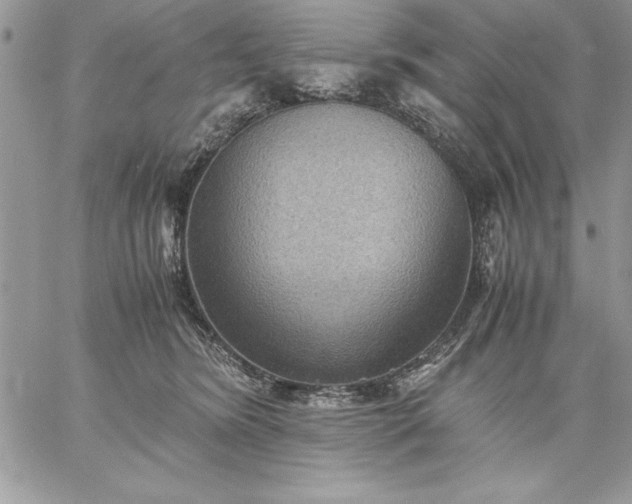 X0000059090420200510172059