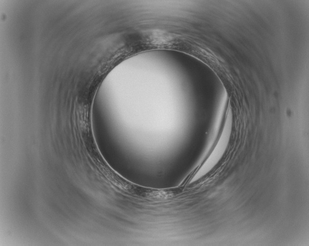 X0000059090421200510172059