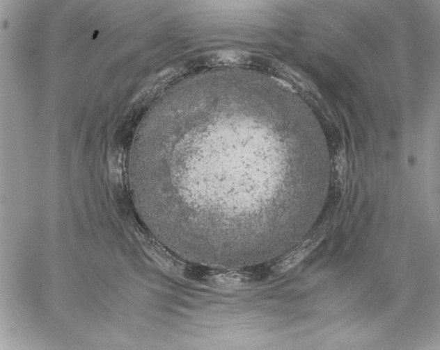 X0000059090423200510172059