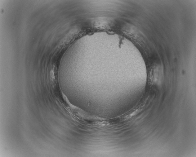 X0000059090424200510172059